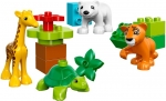 Bild für LEGO Produktset Jungtiere