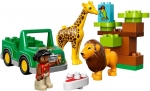Bild für LEGO Produktset Savanne