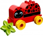 Bild für LEGO Produktset My First Ladybird