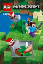 Bild für LEGO Produktset Steve and Creeper Set