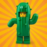 Bild für LEGO Produktset Cactus Girl