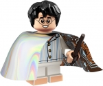 Bild für LEGO Produktset Harry Potter (Invisibility Cloak)